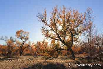 Wyoming State Parks Shift To Winter Hours And Some Are Closed