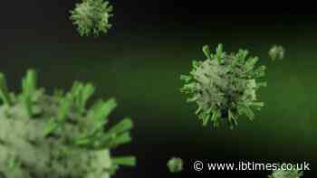 WHO Chief Confirms First Human Shamonda Virus Infection After Patient Dies in France