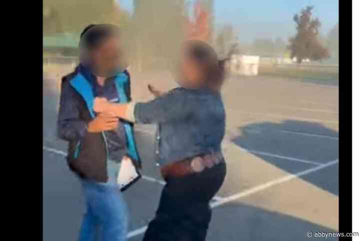 Langley Mounties investigating suspected assault caught on video