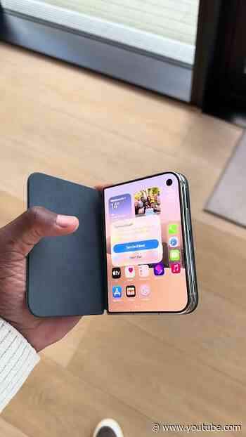 iPhone Duo cases