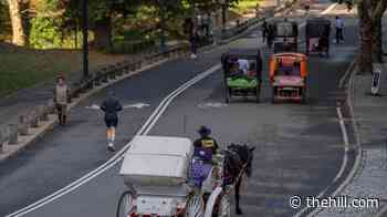 Trump laments NY horse drawn carriage ban