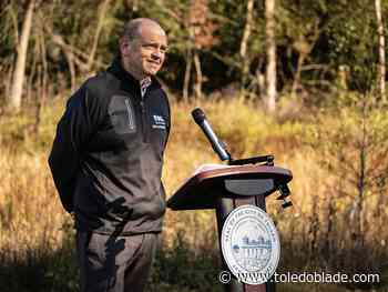 City’s Bandore Park stream restoration draws mixed reviews