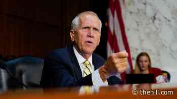 Tillis says Stephen Miller, Hegseth and RFK Jr. should be fired