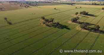 Outstanding south west enterprise ideal for cropping, livestock | Photos