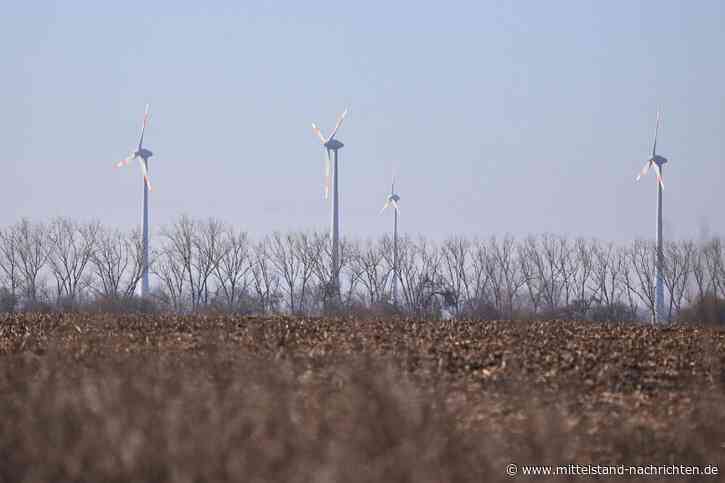 EEG-Novelle: Agora Energiewende warnt vor Milliarden-Mehrkosten für den Bundeshaushalt bis 2030