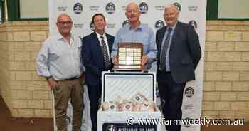 Cavenagh family crowned one of WA's best prime lamb producers for 2025-26