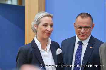 Allensbach: AfD weiterhin vorn – Union verliert, SPD und Linke legen leicht zu