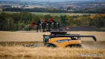 Judge dismisses farmers' class action over end to Canadian Wheat Board monopoly more than a decade ago