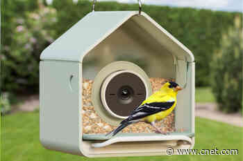 A New Bird-Recognizing Feeder Under $100 Launches for Beginner Bird-Watchers