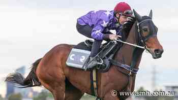 Like bacon and eggs, this perfect pairing is hard to go past in the Cox Plate