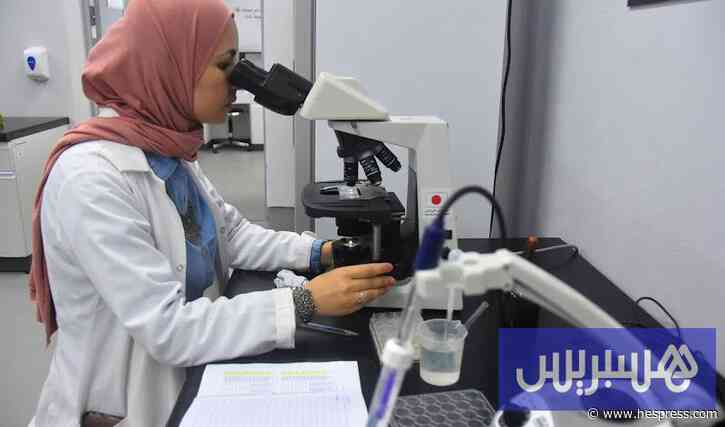 باحثون مغاربة يشاركون في مراجعة علمية حول الأمراض النفسية بإفريقيا