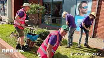 Town wins big for community arboretum efforts