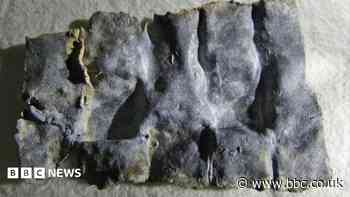 Tablets Romans used to curse others going on show