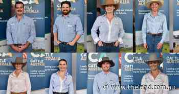 Meet the future of the beef industry, from first-gen aggies to legacy farmers