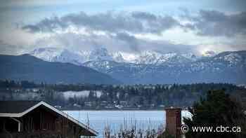 A closer look at Courtenay-Comox, one of B.C.’s tightest election races