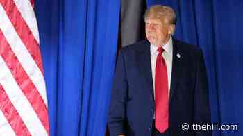 Trump on controversial Acton ad: ‘Why would you shield somebody from that?’ 