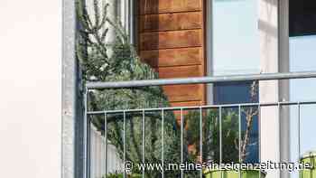 So bleibt der Weihnachtsbaum bis zu den Feiertagen frisch