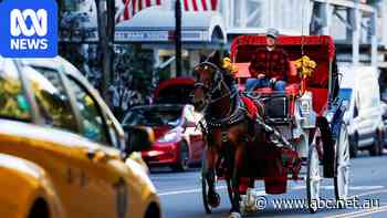 New York City bans horse-drawn carriages