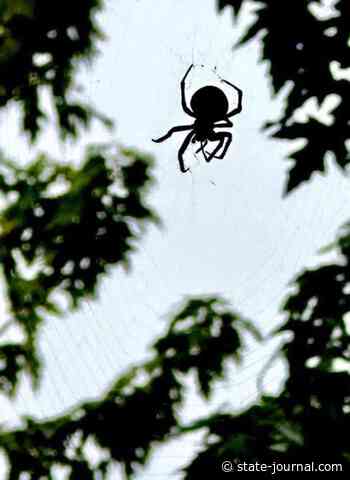 Trick-or-treating to take place 6-8 p.m. Oct. 31
