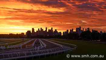 Which horses to pick in this year's Cox Plate?