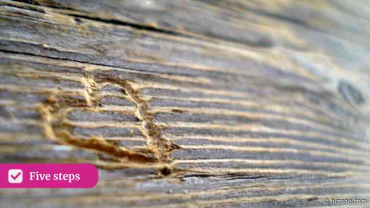 Five steps: Support neurodivergent colleagues in the workplace