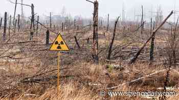 40 years later, Chernobyl's nuclear fallout is not what scientists expected