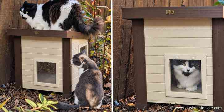 Our favorite outdoor cat house for multiple cats is 30% off