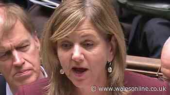 DWP update as Child Maintenance Service plans 2 per cent charge - key details