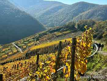 Wandern im Herbst - Traumhafte Wege im Süden von NRW