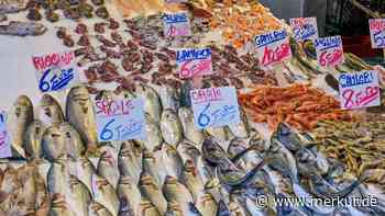 Lkw-Protest trifft Italien vor Feiertag: „Hunderte Kilogramm Fisch sind bereits weggeworfen worden“