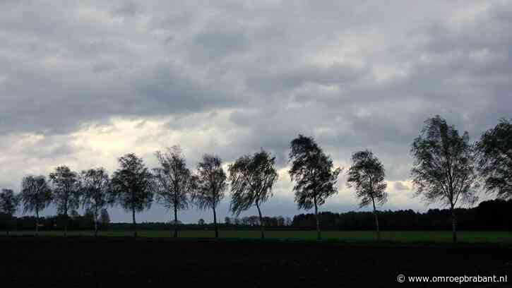 Onstuimig herfstweer op komst: 'Maar veel overlast verwacht ik niet'