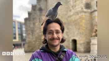 De-string the birds! Why pigeons deserve more kindness