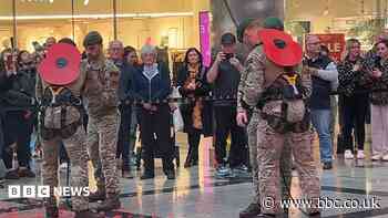 Royal Marines abseil to launch Poppy Appeal