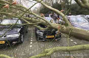 KNMI adviseert specifieke groep automobilisten tijdens storm: blijf weg!