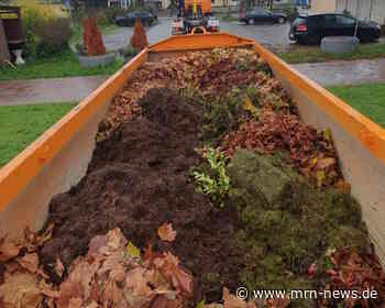 Frankenthal – Laubentsorgung in Frankenthal – Kostenfreie Grünabfallcontainer ab 2. November