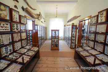Museum Waldenburg bringt neues Format an den Start