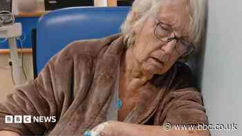 Woman, 86, had agonising 30-hour wait in A&E, family says