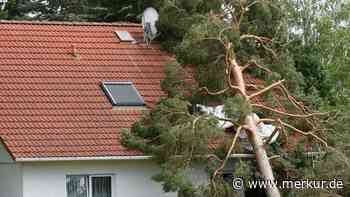 Sturmfest fürs Unwetter: So schützen Sie Haus und Garten vor Schäden