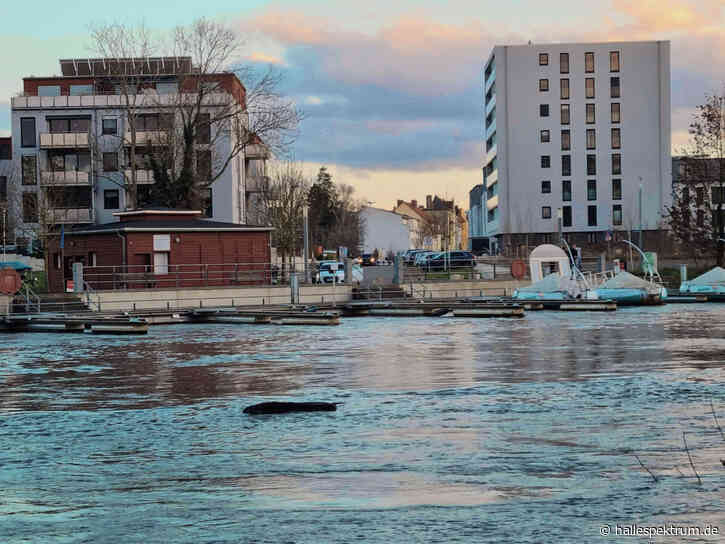 Bürgerinitiative kritisiert geplante Brücken zwischen Saline und Sandanger