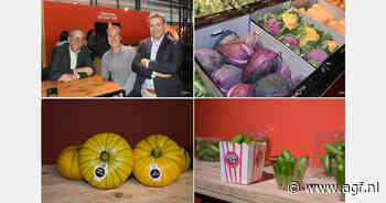Gebruiksgemak, specialties en seizoensverpakkingen op Product Show BelOrta