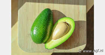 "Zuid-Afrikaanse Greenskin-avocadoseizoen afgesloten met ongekend hoge prijzen"