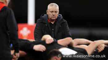 Warren Gatland calls for four regions and reveals stark warning he gave WRU board
