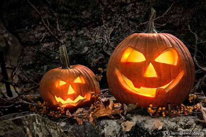 Organizers prepare for hauntingly fun Fright Night
