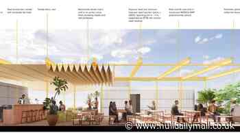 New rooftop and accessibility upgrades planned for Hull’s Humber Street Gallery