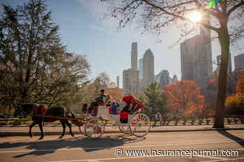 New York City Bans Horse-Drawn Carriages After Decade-Long Battle