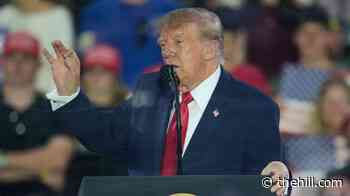 Trump says Reflecting Pool 85 percent full: 'Looking really good' 