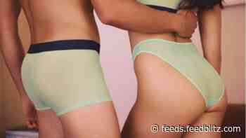 Meshy Is Sexshy