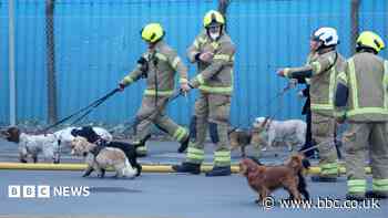 Dogs evacuated from blaze at business park