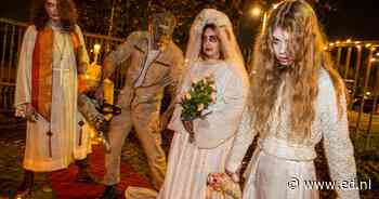 Griezelen en trick-or-treaten kan vanaf dit weekend overal in de regio: dit zijn de Halloweenuitjes
