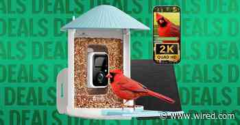 Best Early Black Friday Smart Bird Feeder Deals (2026)
